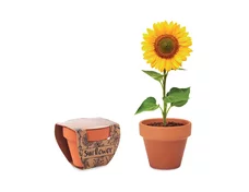 sunflower-600fd59dec68b.jpg