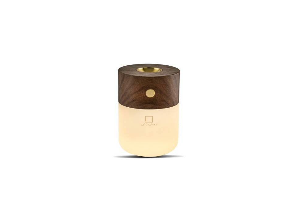 Gingko Smart diffuser 6