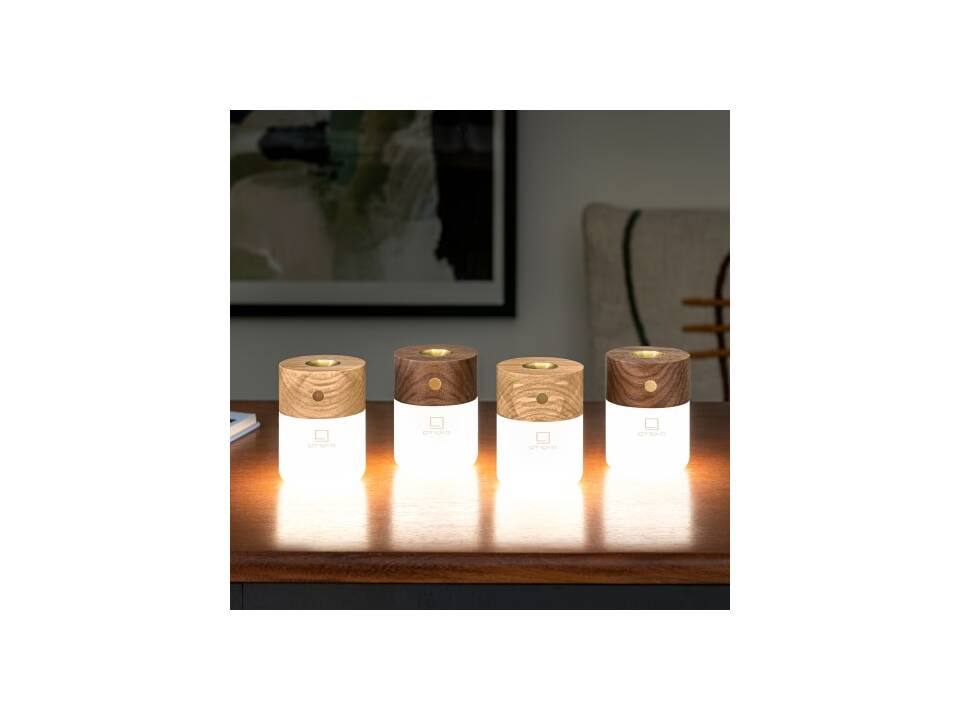 Gingko Smart diffuser 8