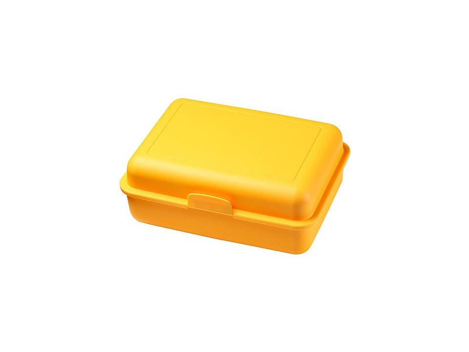 Lunchbox Schoolbox 22