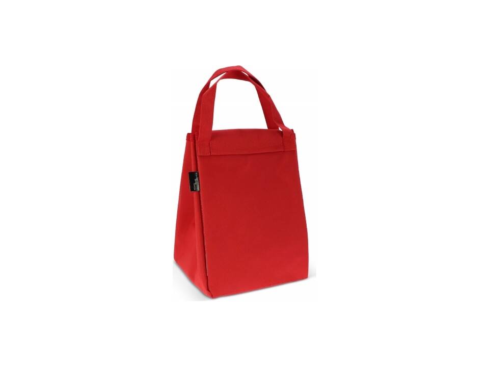 Folded cooler bag & picnic mat 3