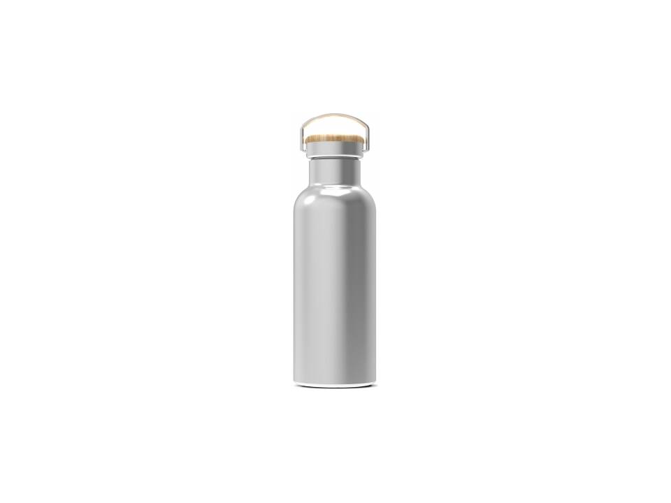 Thermo bottle Ashton 500ml 3