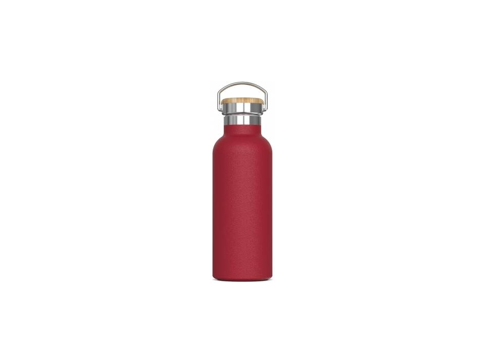 Thermo bottle Ashton 500ml 6