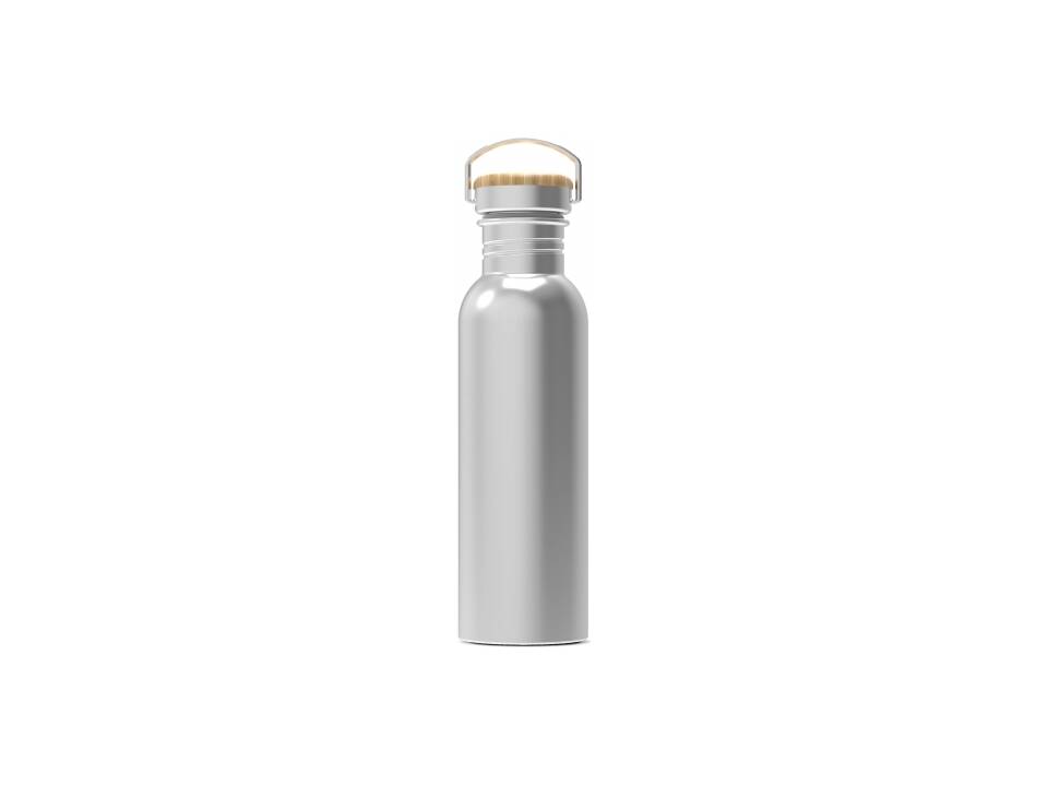 Water bottle Ashton 750ml 3