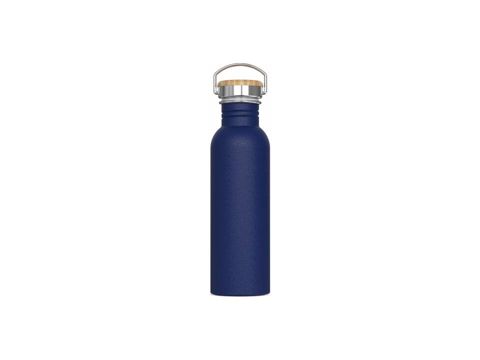 Water bottle Ashton 750ml 4