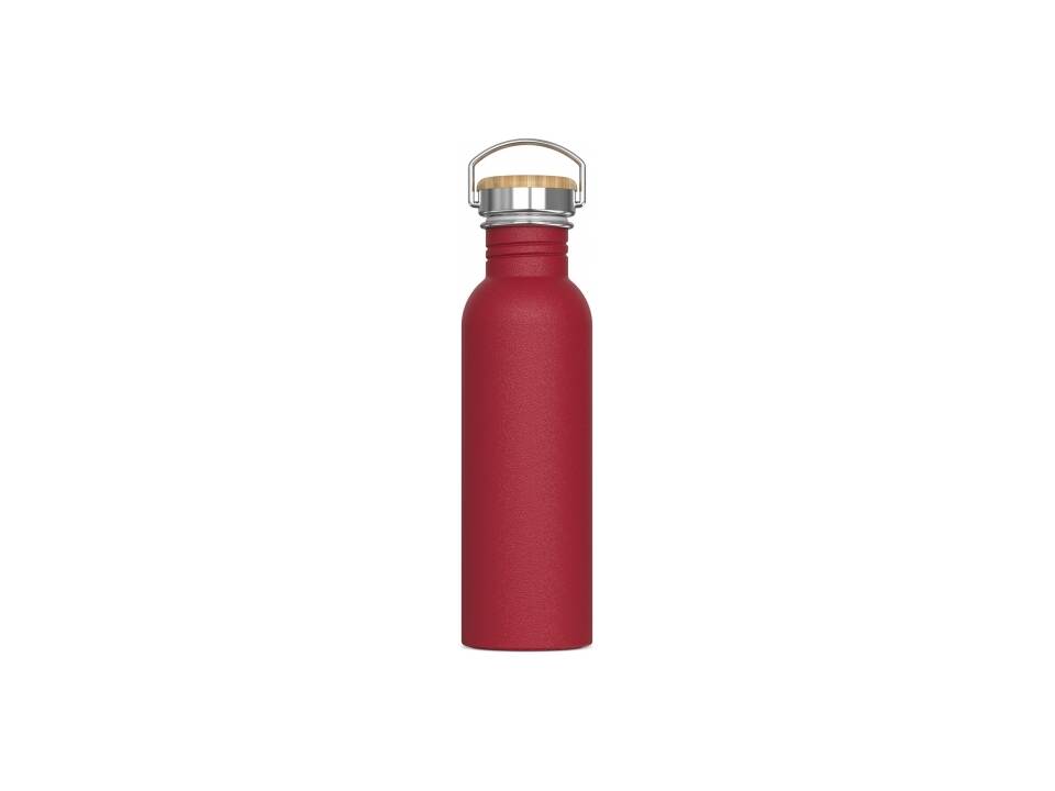 Water bottle Ashton 750ml 6