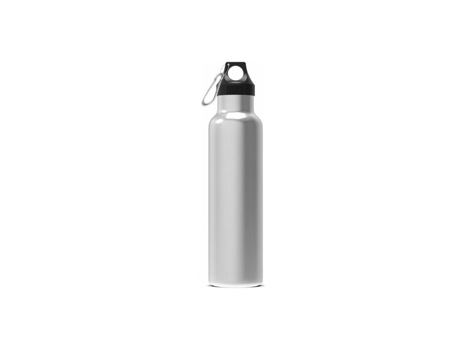 Thermo bottle Lennox 650ml 3
