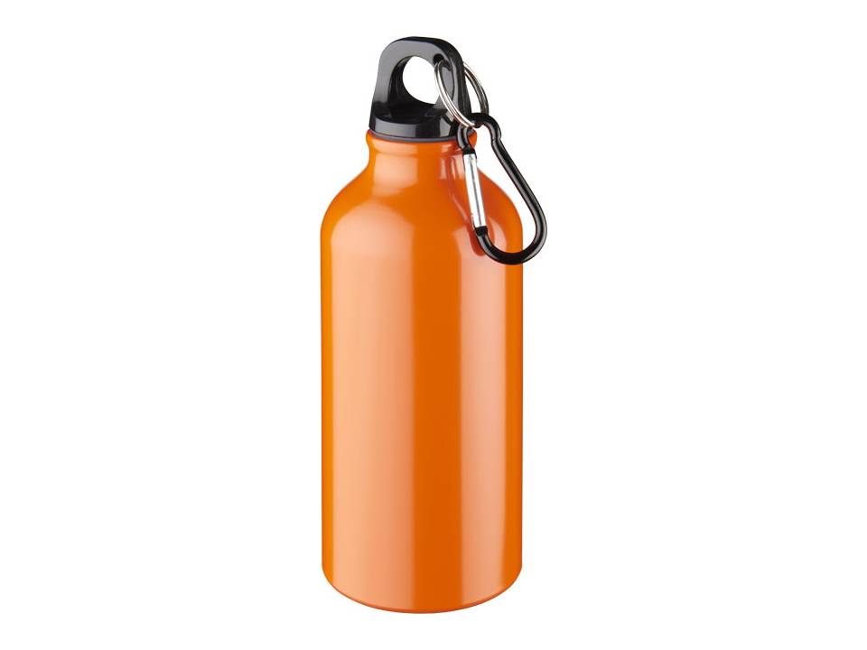 Drinking Bottle With Karabiner 15