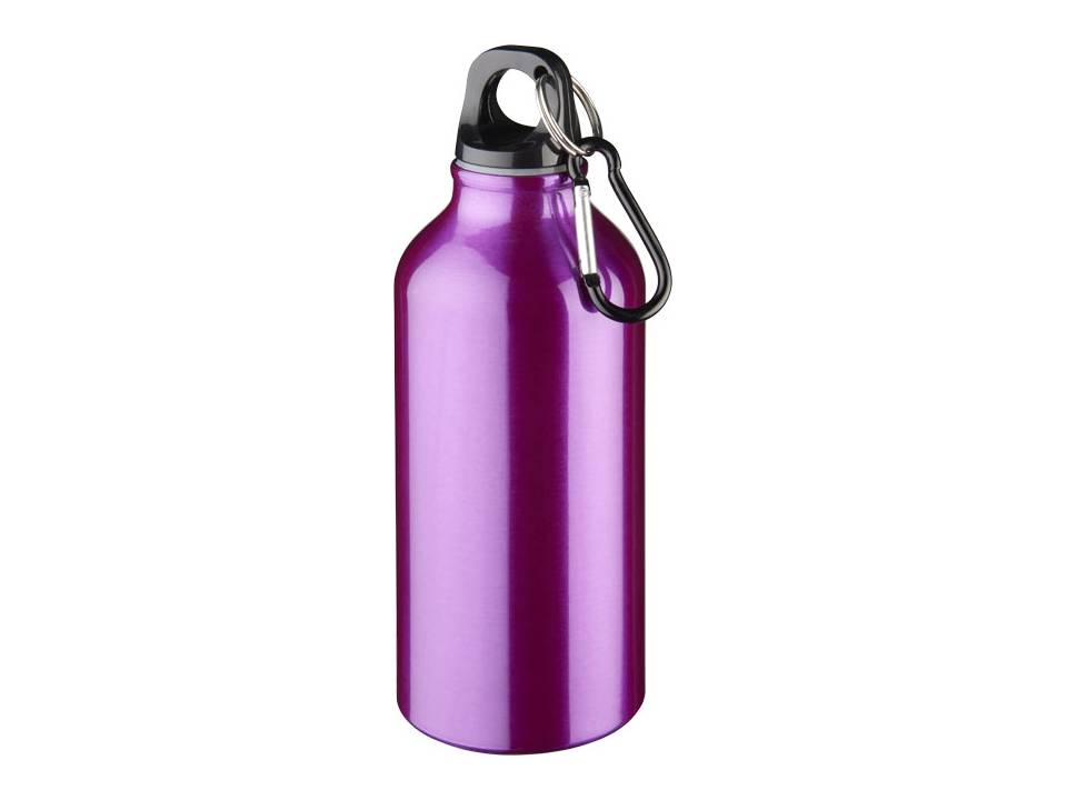 Drinking Bottle With Karabiner 14