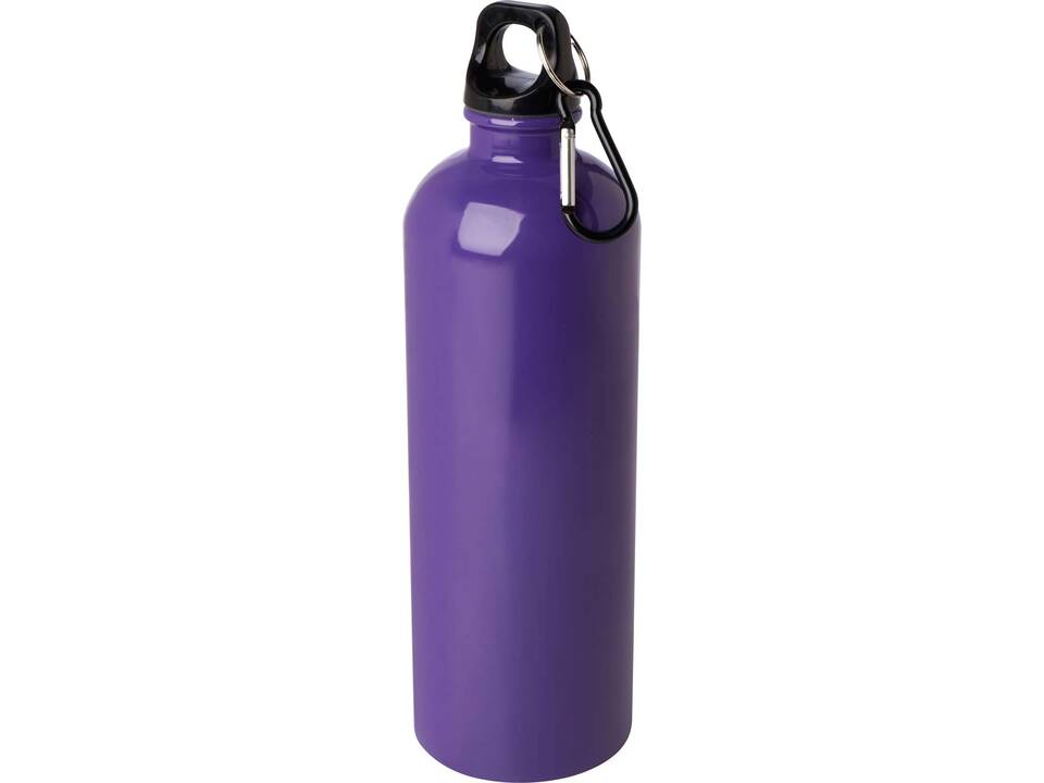 Oregon 750 ml RCS certified single wall stainless steel water bottle with carabiner 17