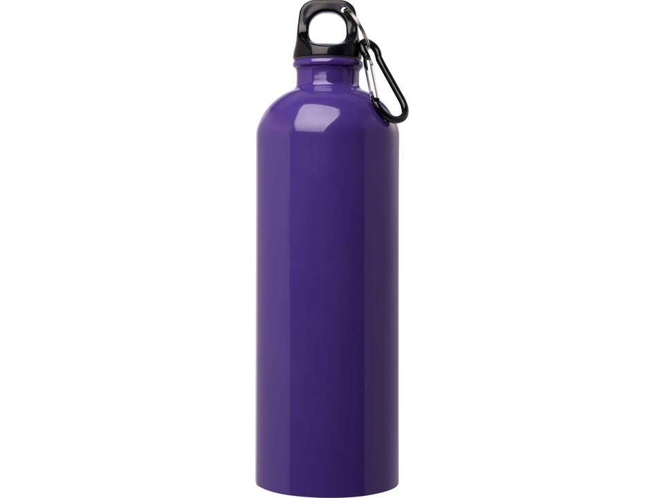 Oregon 750 ml RCS certified single wall stainless steel water bottle with carabiner 19