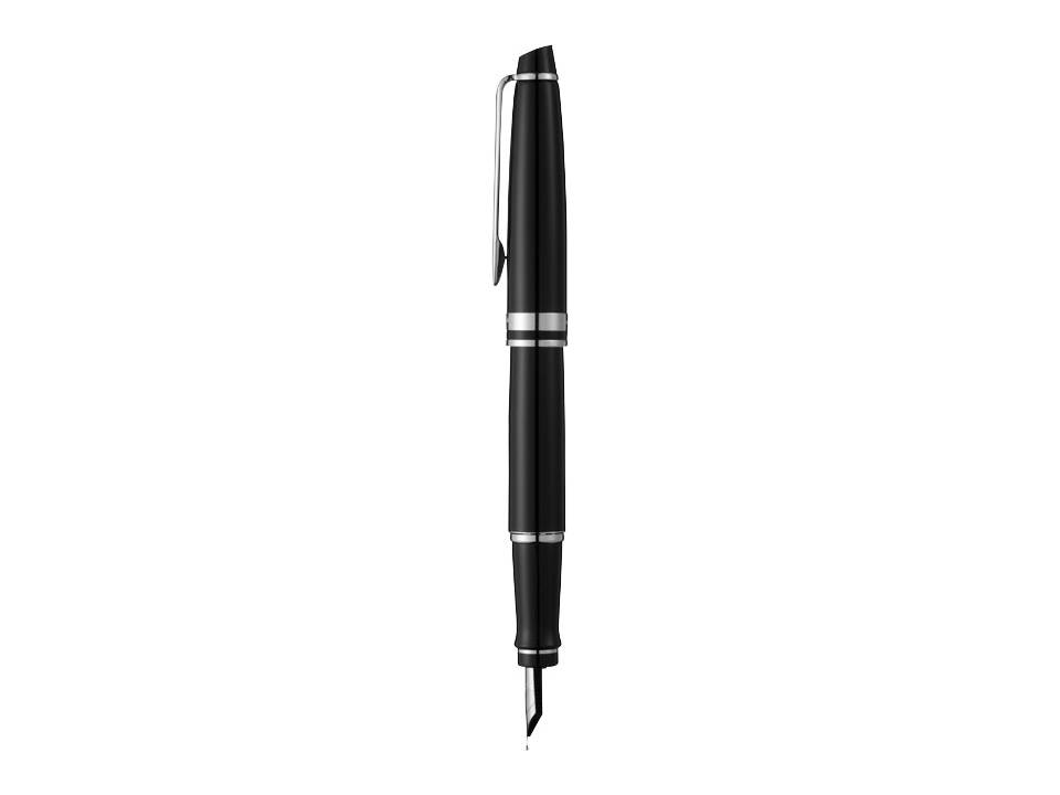 Waterman Expert Fountain Pen 10