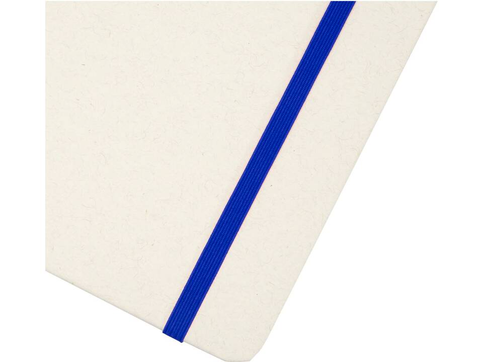 Bass A5 recycled hard cover notebook with lined pages 17