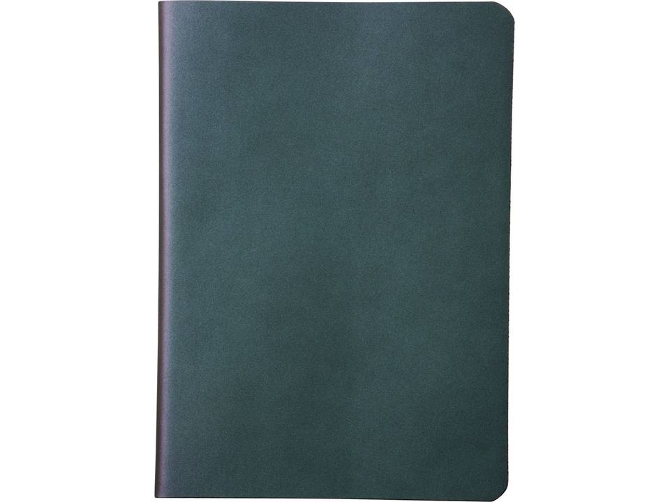 Chameleon A5 notebook 2