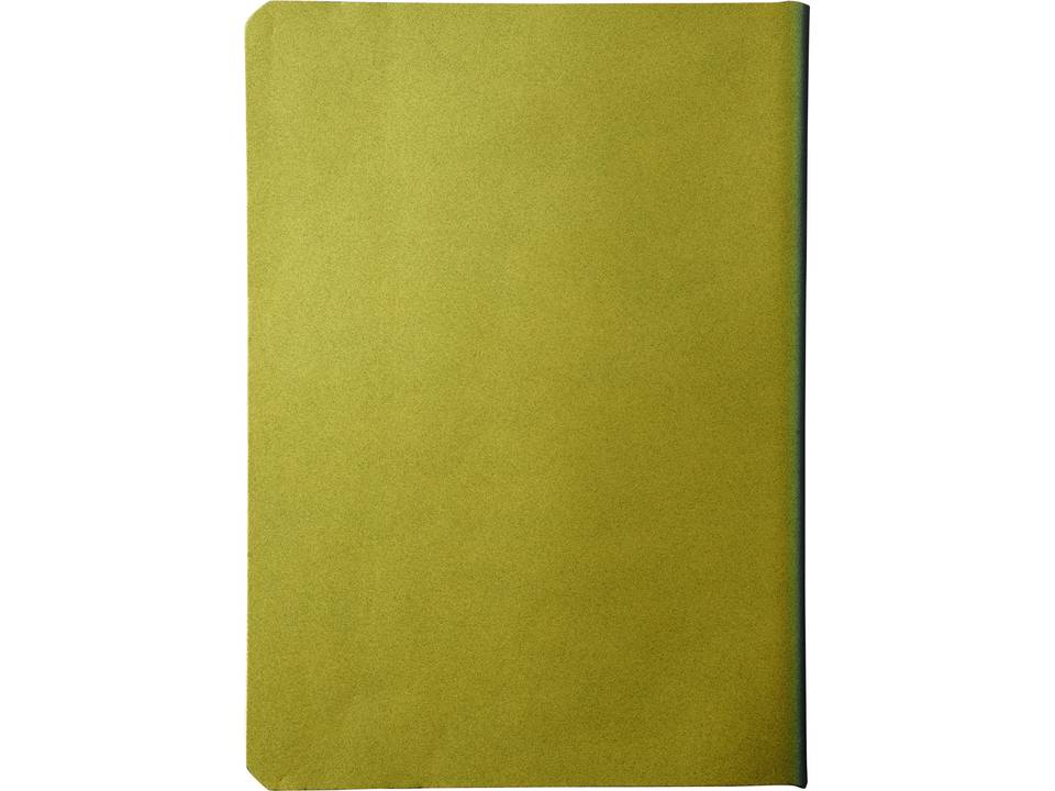 Chameleon A5 notebook 13