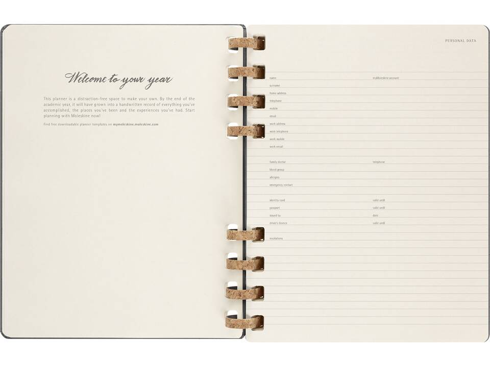 12M daily XL spiral hard cover planner 20