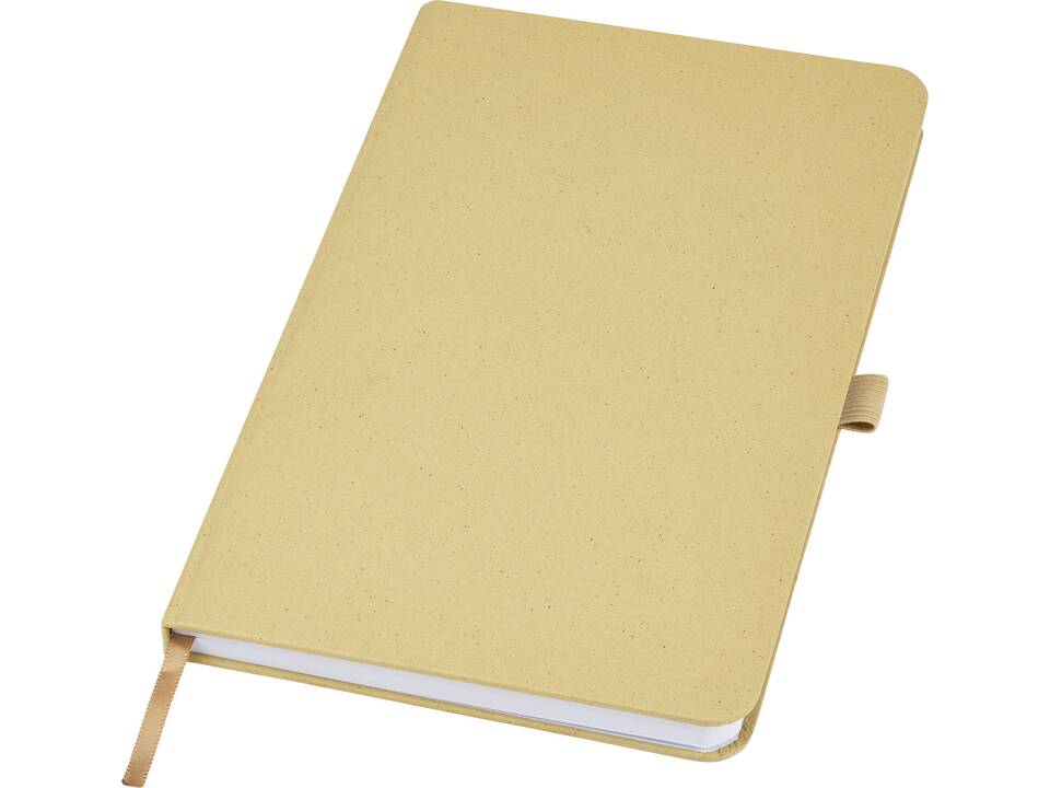 Fabianna crush paper hard cover notebook 7