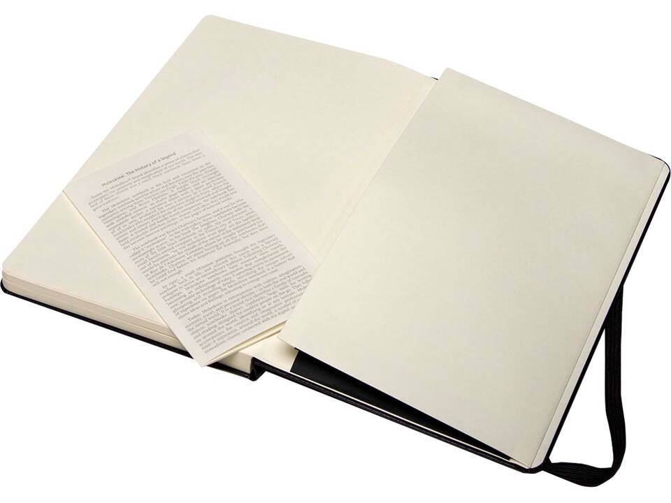 Moleskine large art sketchbook 4