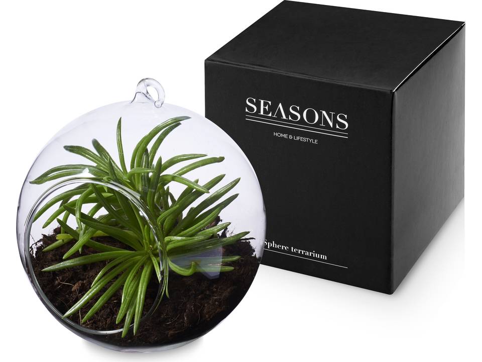 Sphere terrarium 2