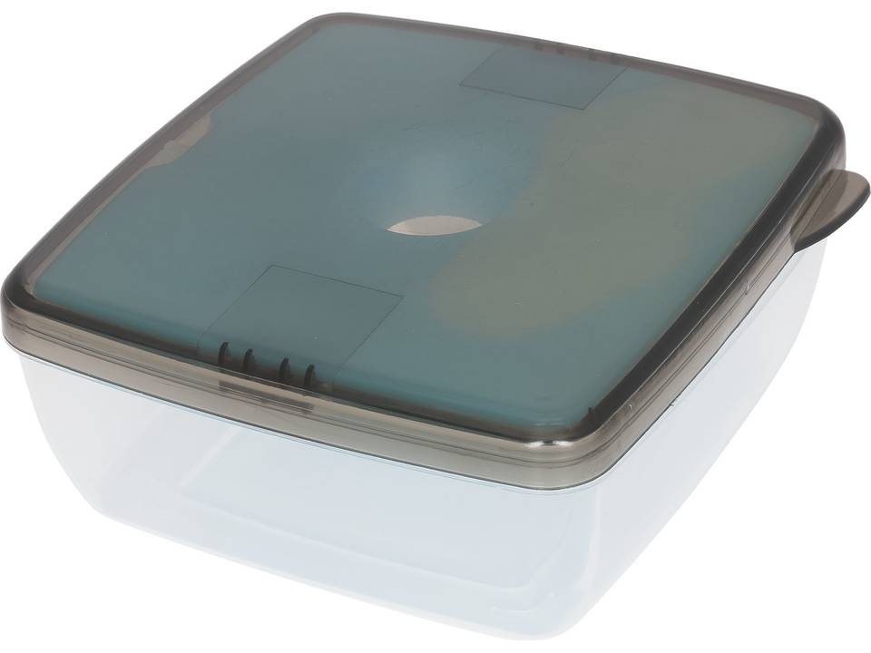 Glace lunch box with ice pad 4