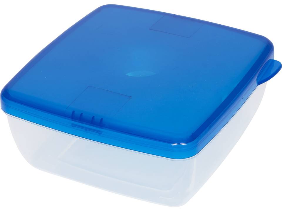 Glace lunch box with ice pad 8