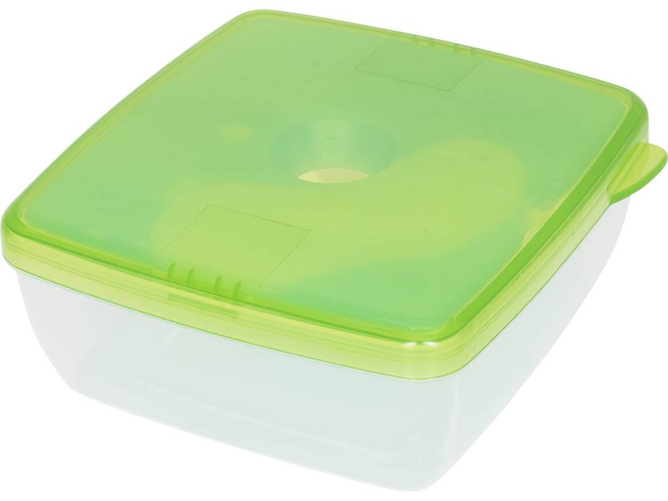 Glace lunch box with ice pad 13