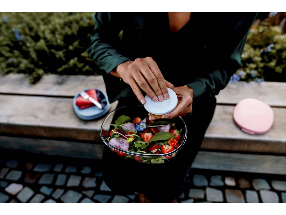 Ellipse salad box 13