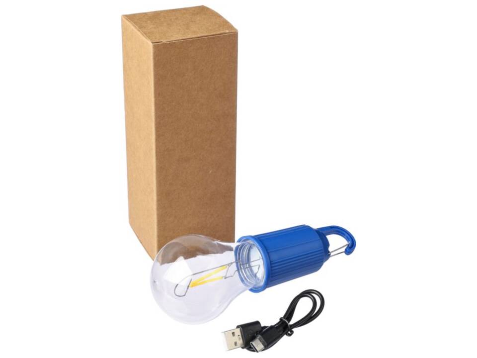 ABS lightbulb Dalton 1