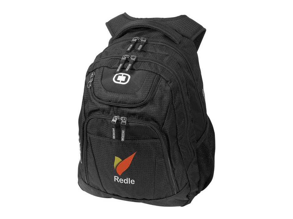 Excelsior 17'' Computer Backpack 5