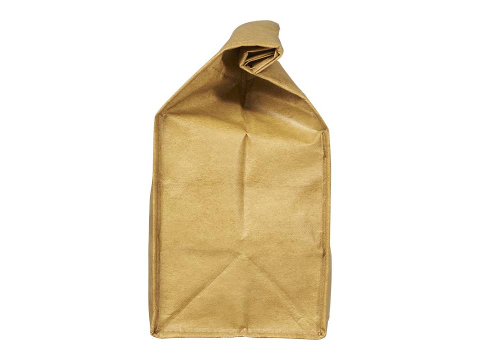 Brown Paper Bag Cooler 3