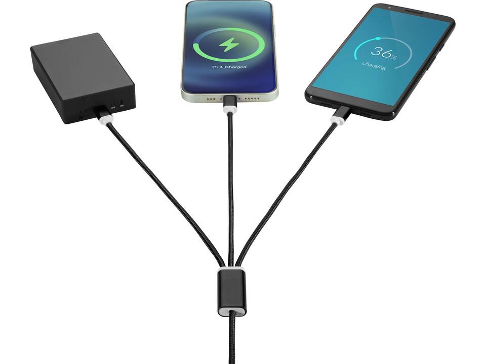 Versatile 3-in-1 charging cable with dual input 19