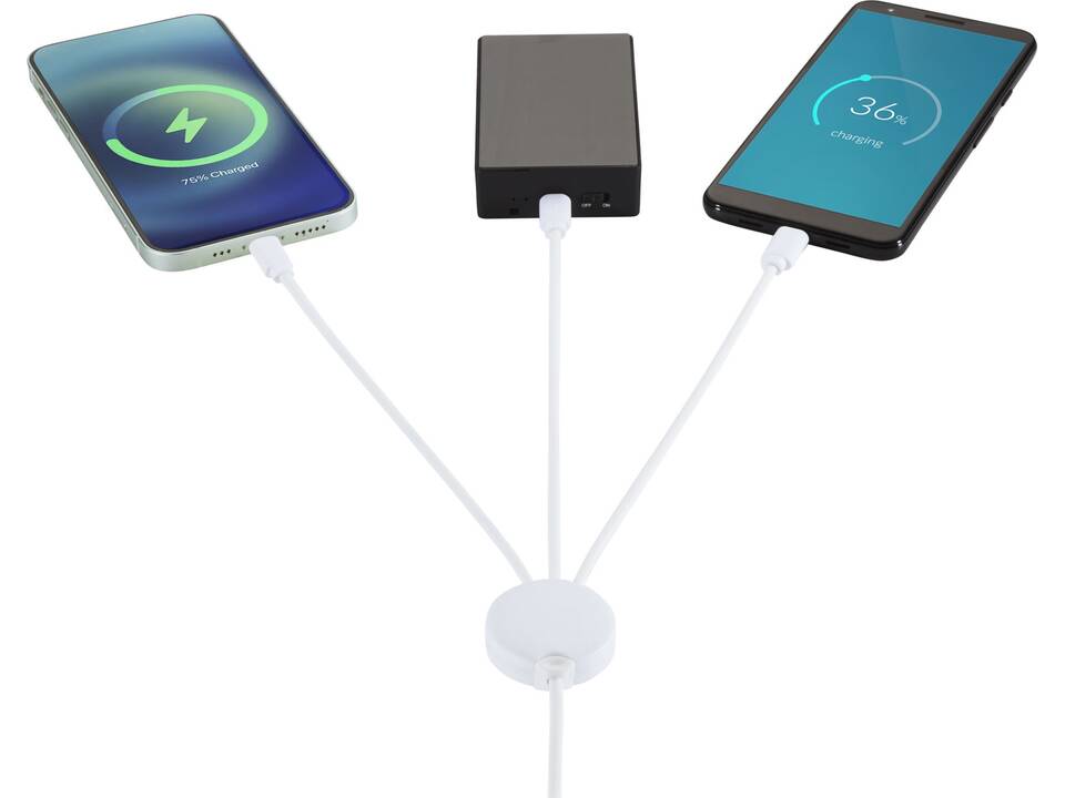 Pure 5-in-1 charging cable with antibacterial additive 3