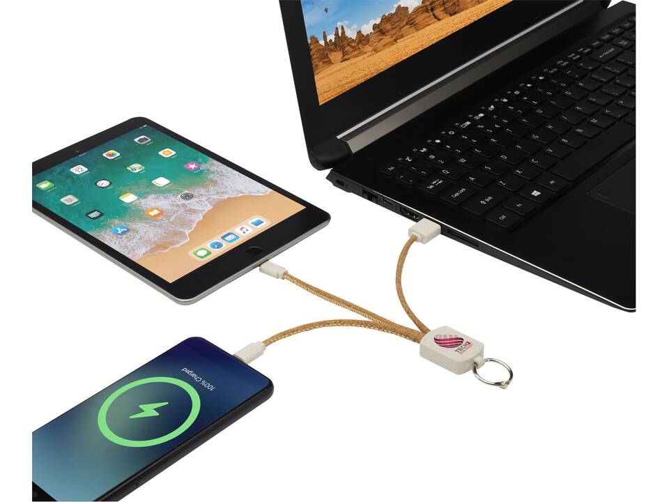 Bates wheat straw and cork 3-in-1 charging cable 2