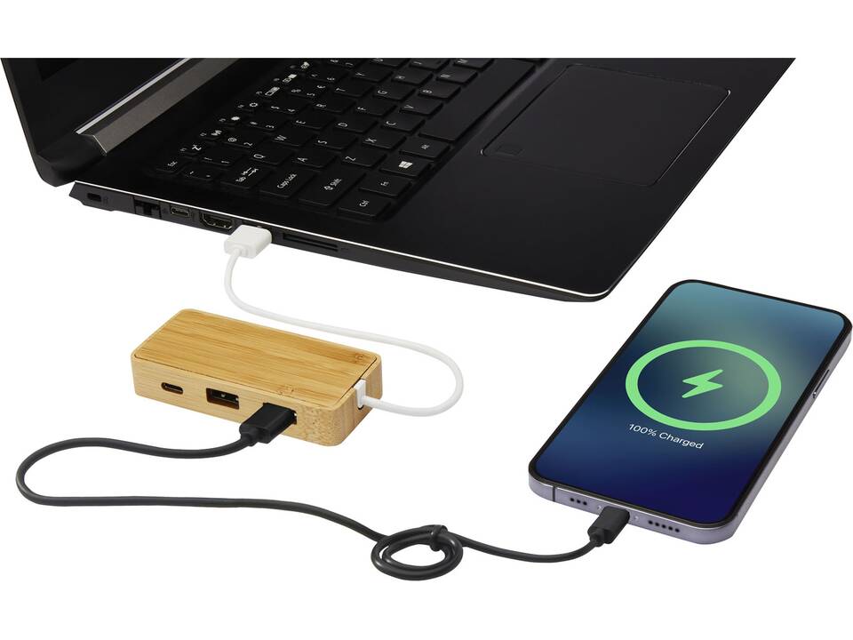 Tapas bamboo USB hub 4