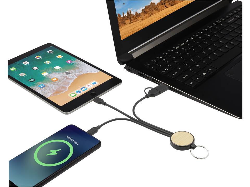 Tecta 6-in-1 recycled plastic/bamboo charging cable with keyring 5
