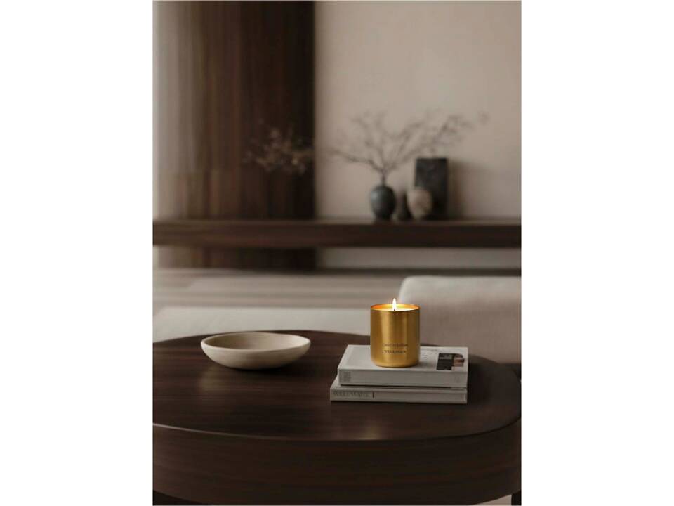 Wellmark scented candle 15