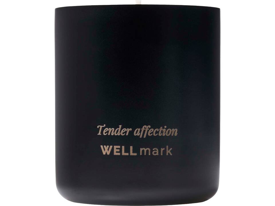 Wellmark scented candle 17