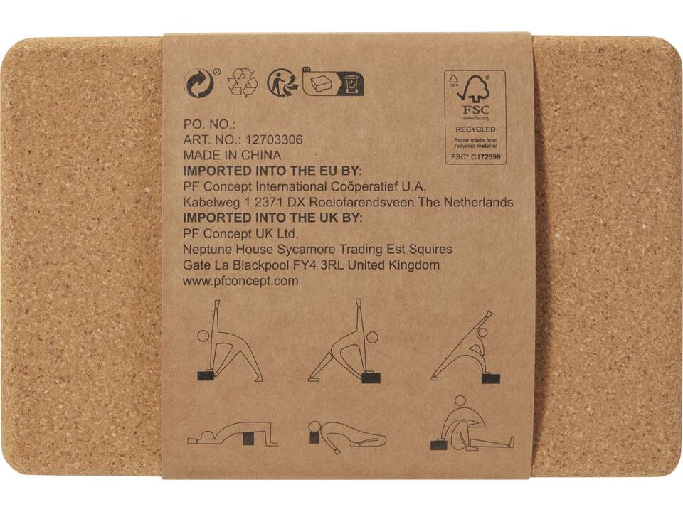 Trikona cork yoga brick 2