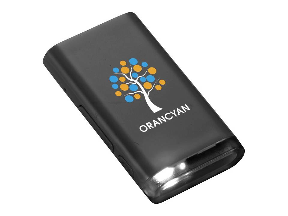 Bluetooth® Receiver 12