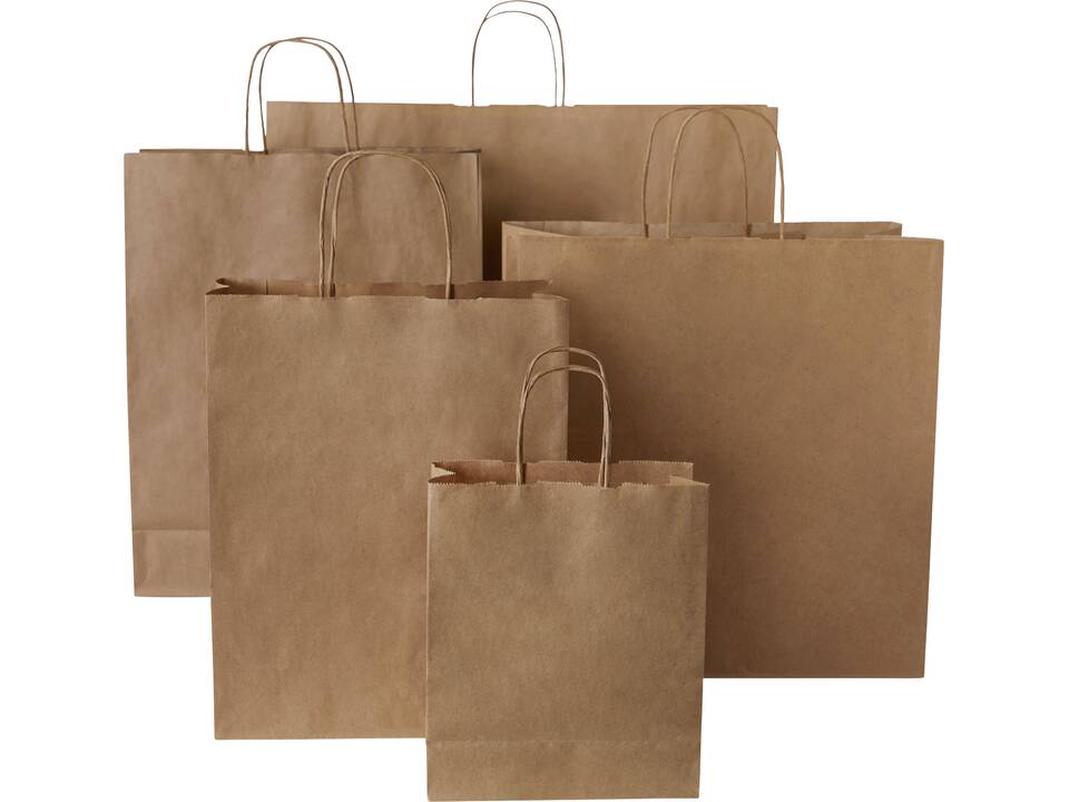 Kraft 80 g/m2 paper bag with twisted handles - medium 11