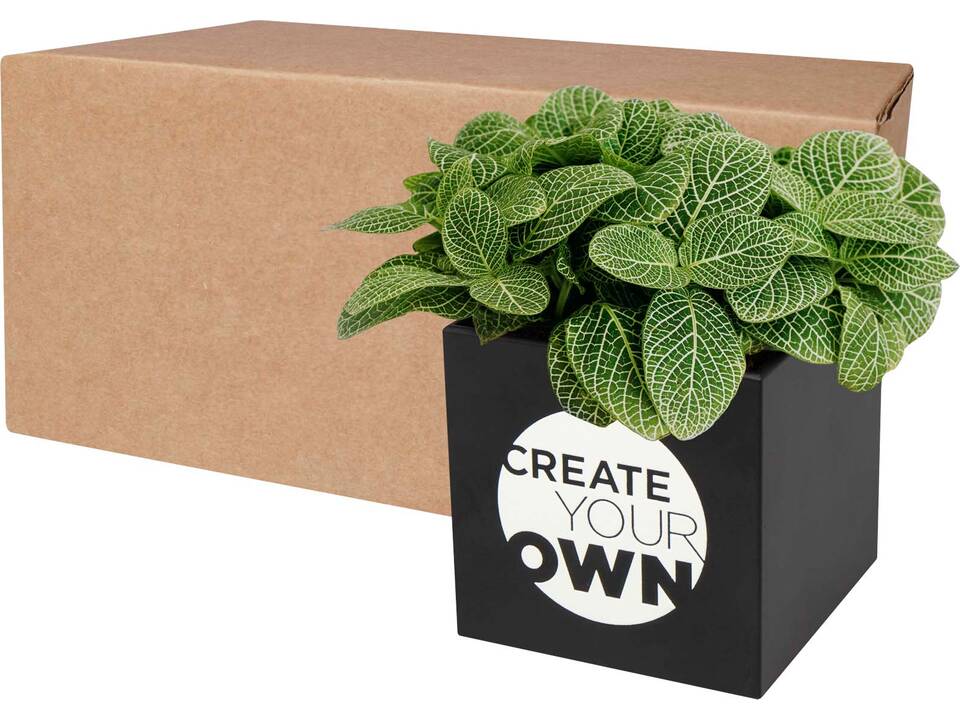 Hey Pots aluminium planted pot - succulent 5