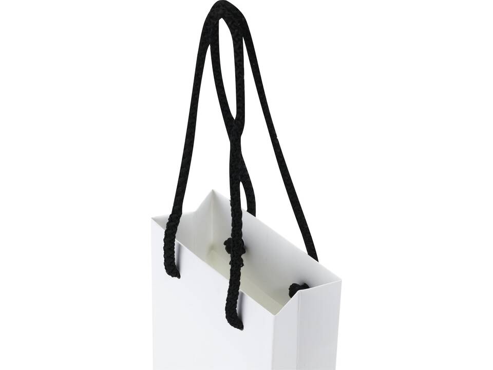 Handmade integra paper bag with plastic handles - small 12