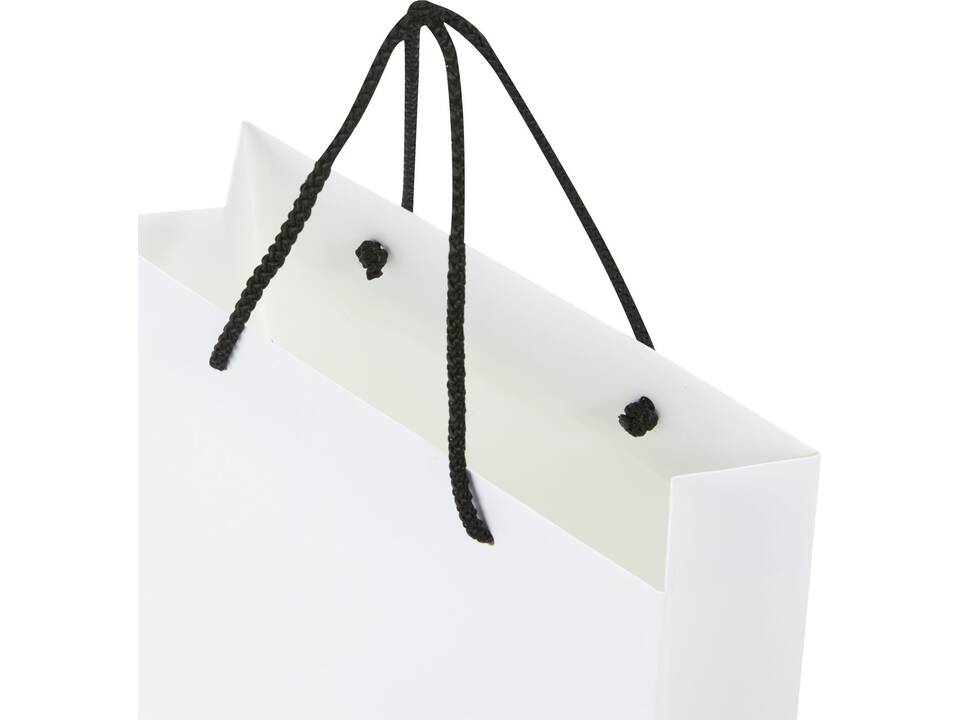 Handmade integra paper bag with plastic handles - large 12