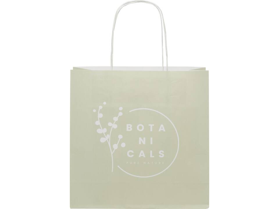 Kraft paper bag with twisted handles - small 1