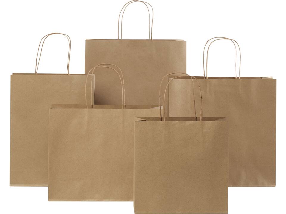 Kraft paper bag with twisted handles - medium 15