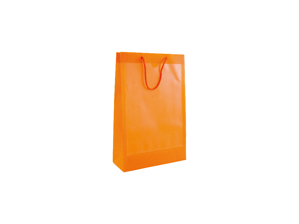Clear bag with two windows A4 7
