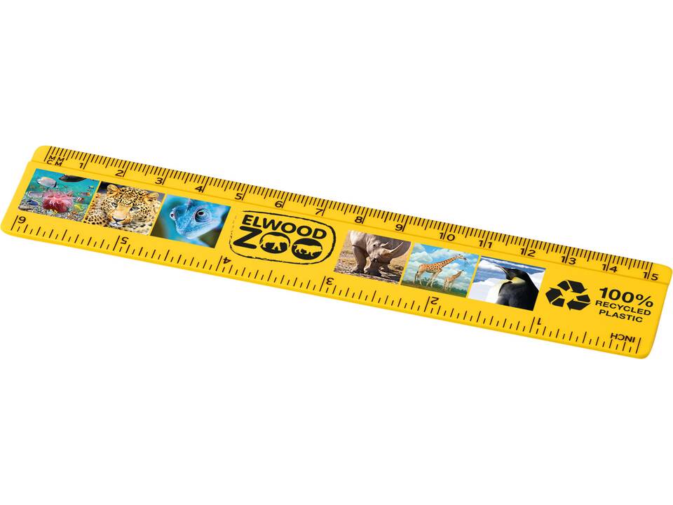 Refari 15 cm recycled plastic ruler 5