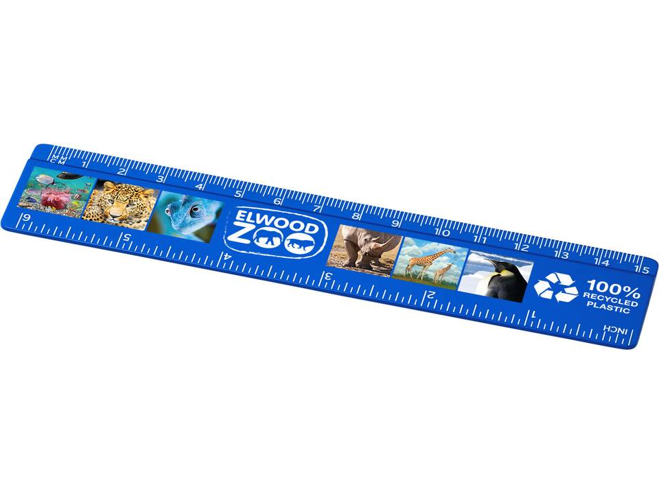 Refari 15 cm recycled plastic ruler 13