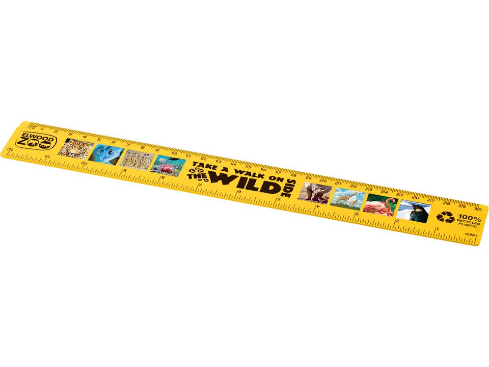 Refari 30 cm recycled plastic ruler 5