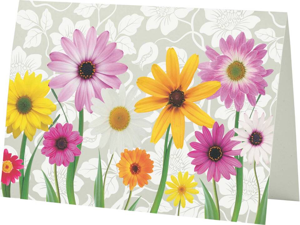 Herald A5 greeting card 11